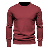 Chic Ribbed Knit Trim Crew Neck Long Sleeve Winter Men Pullover Sweater