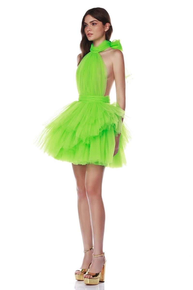 Accalia Tulle Halter Mini Dress