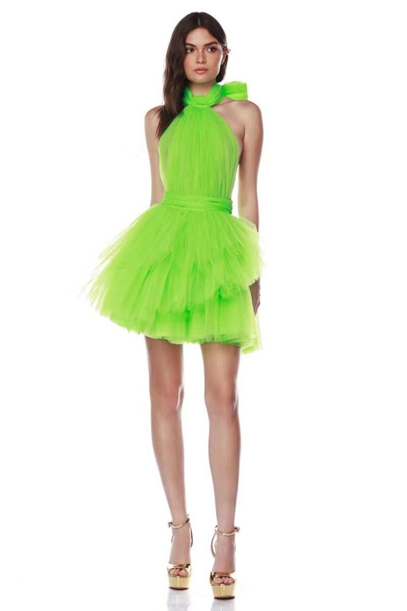 Accalia Tulle Halter Mini Dress