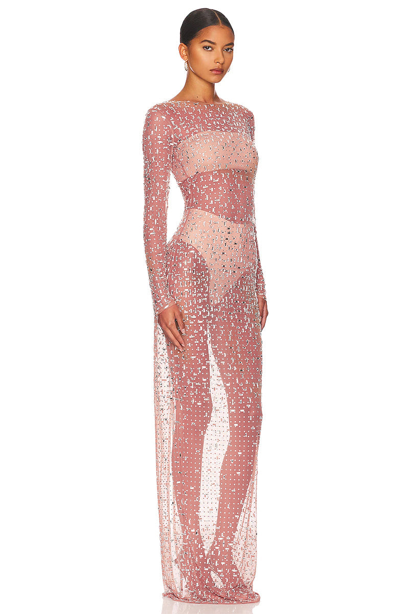 Dazzled Up Crystal Embellished Sheer Maxi Dress