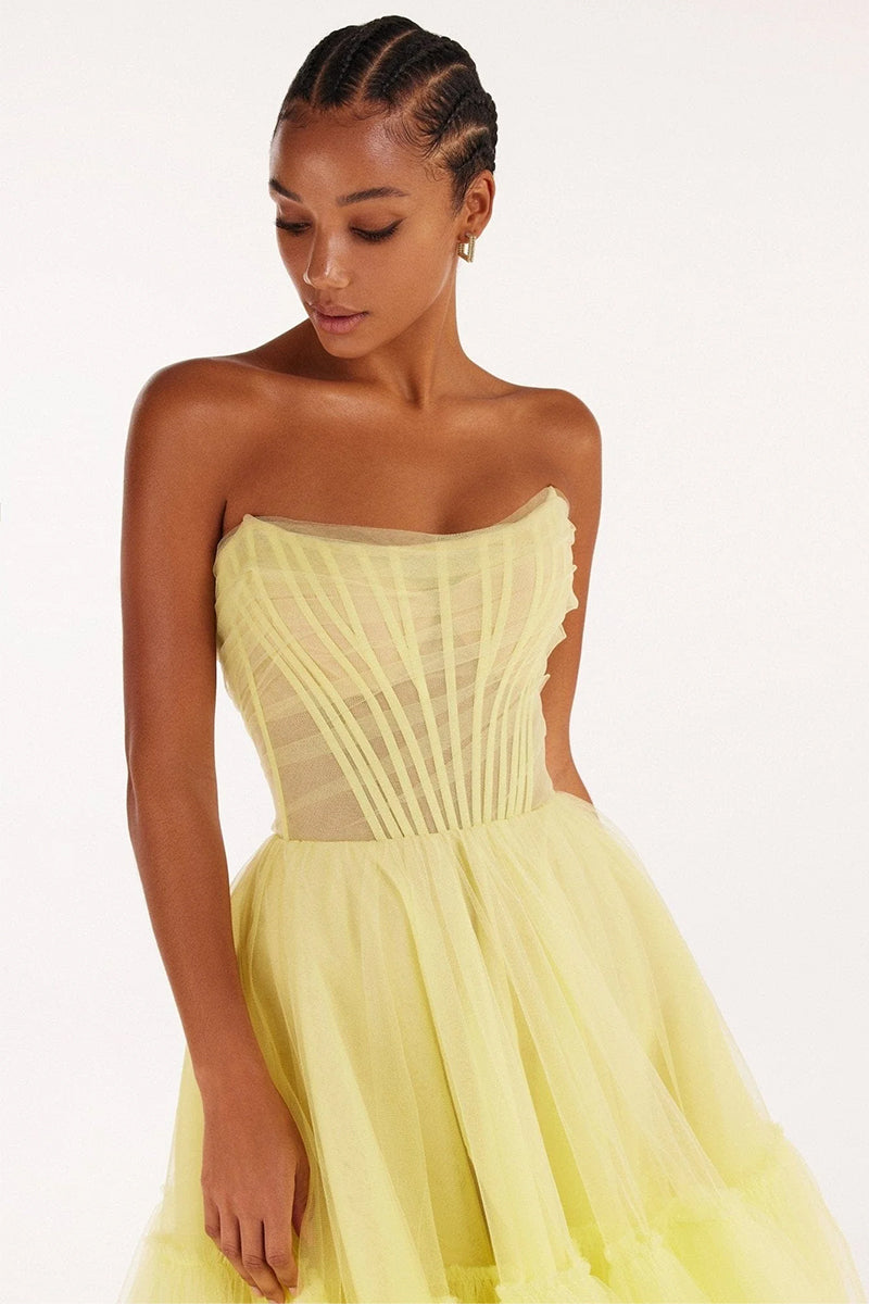 Ellee Strapless Tulle Mini Dress