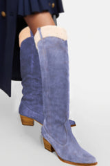 Suede Pointed Toe Western Cowboy Knee High Boots With Faux Fur Trim - Cornflower