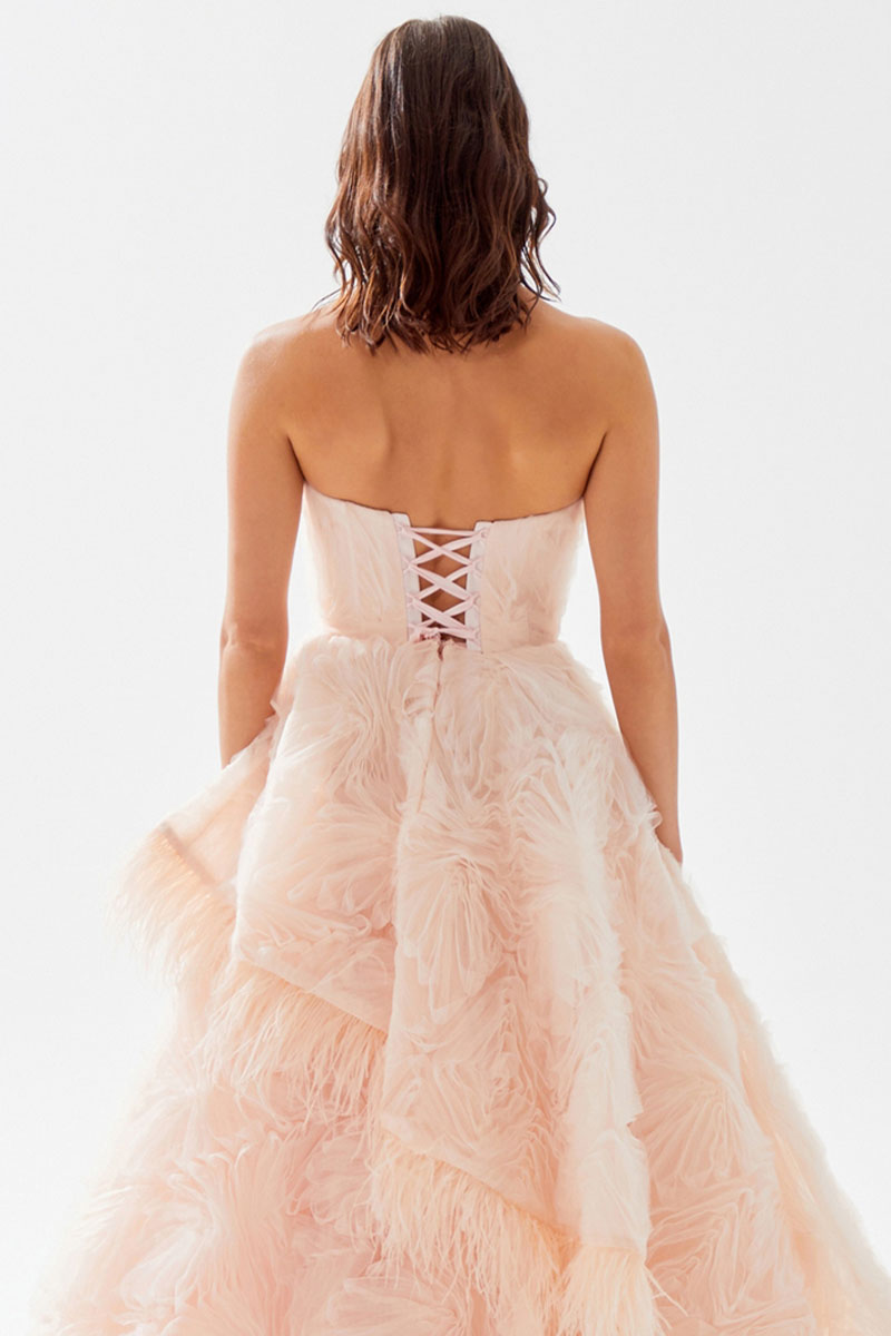 Henri Strapless Feather Trimmed Gown