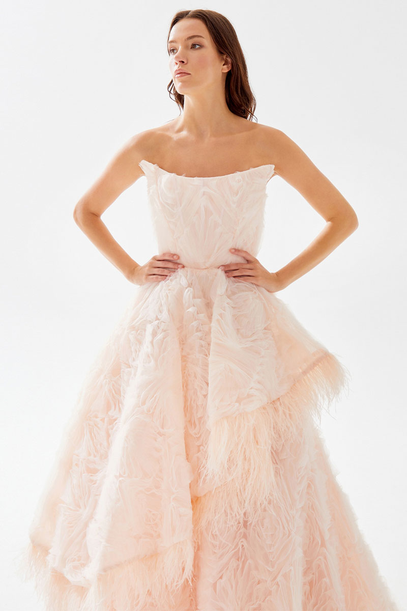 Henri Strapless Feather Trimmed Gown