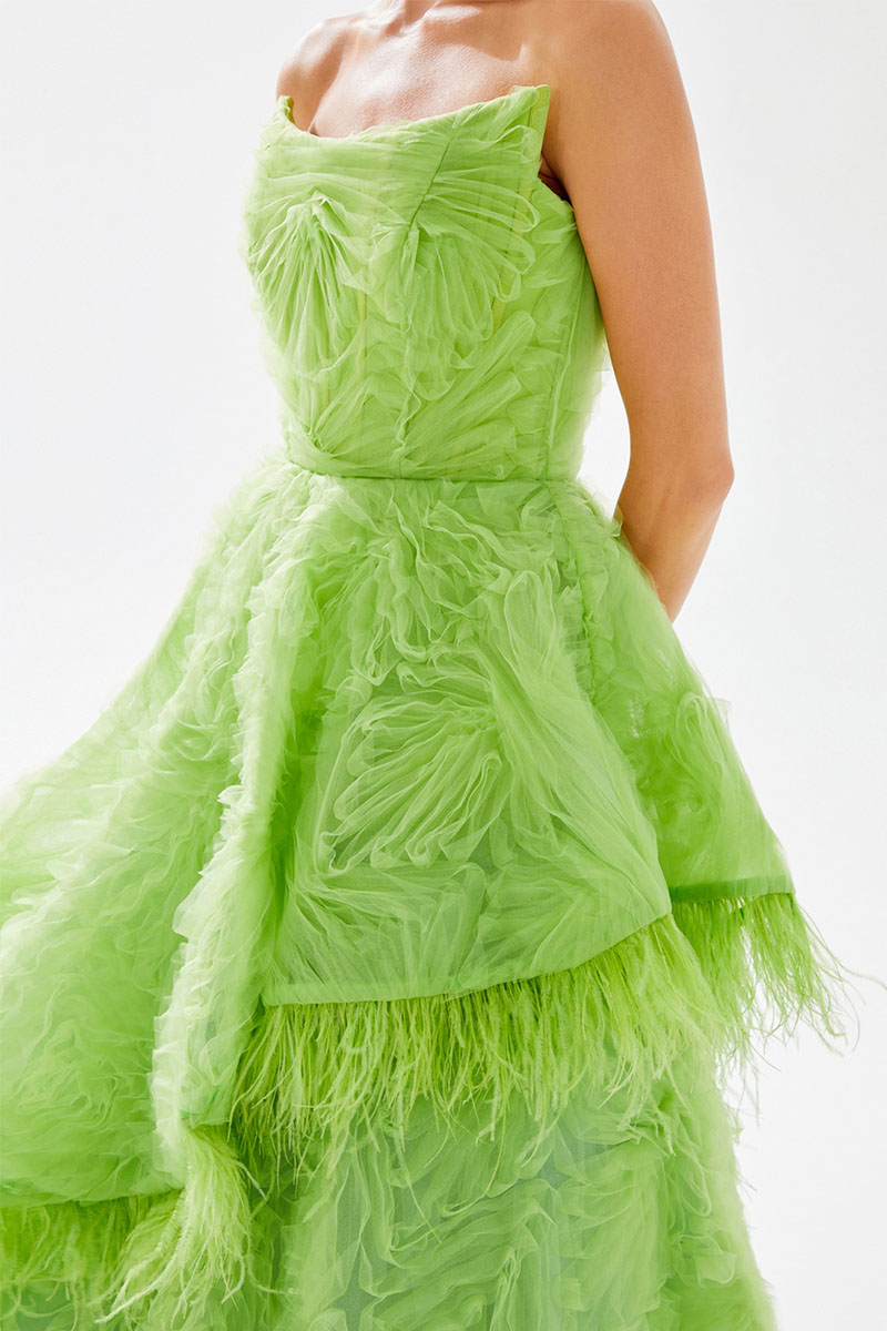 Henri Strapless Feather Trimmed Gown