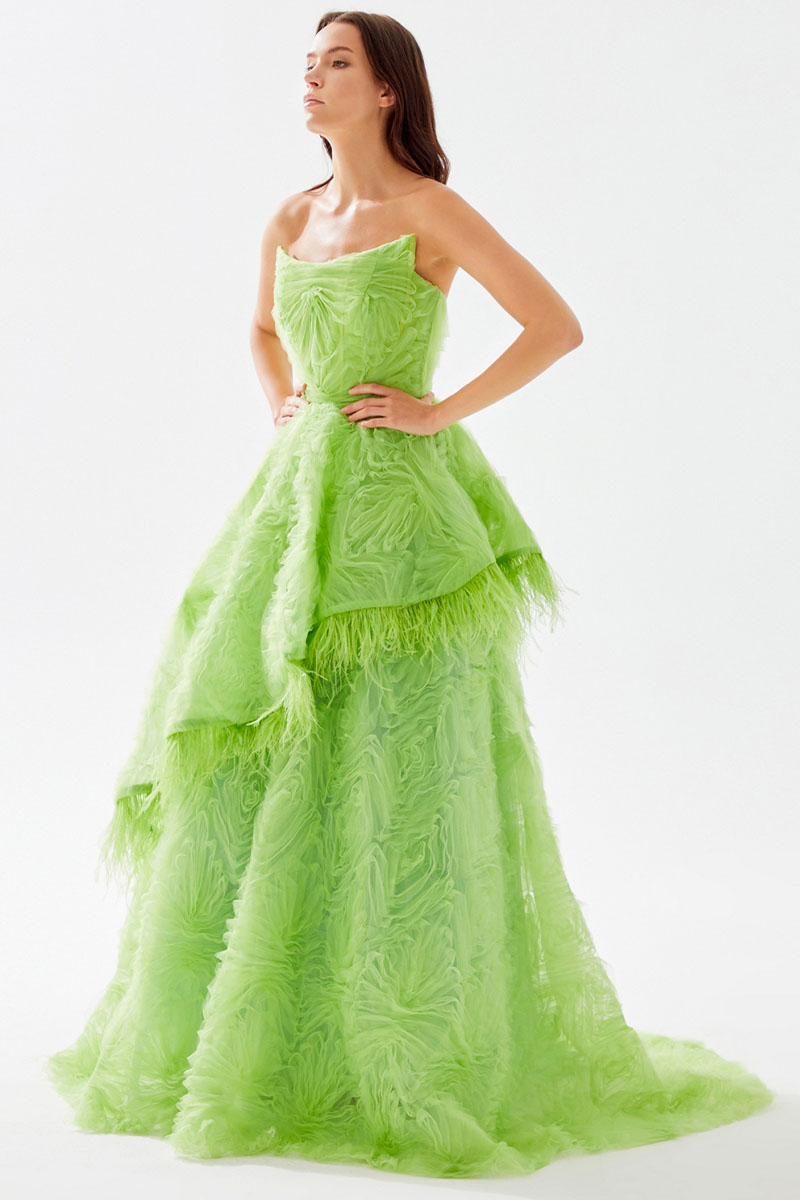 Henri Strapless Feather Trimmed Gown