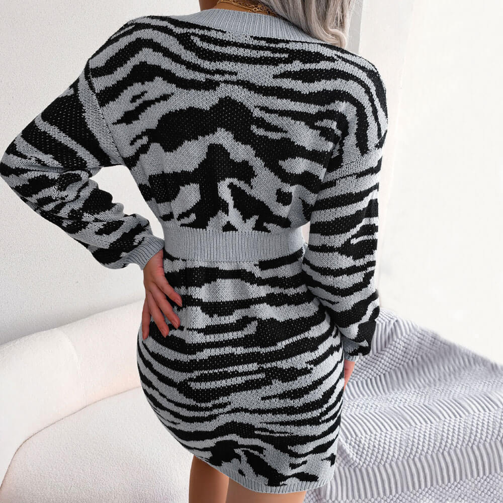 Stylish Ribbed V Neck Long Sleeve Leopard Sweater Mini Dress