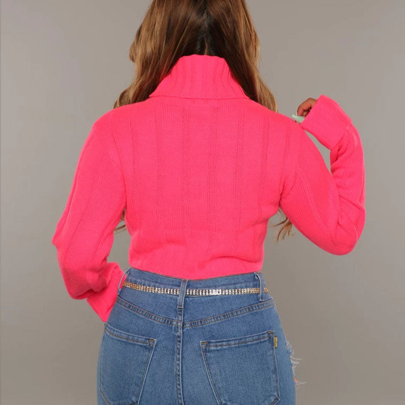 Vintage Turtleneck Long Sleeve Cropped Rib Knit Sweater