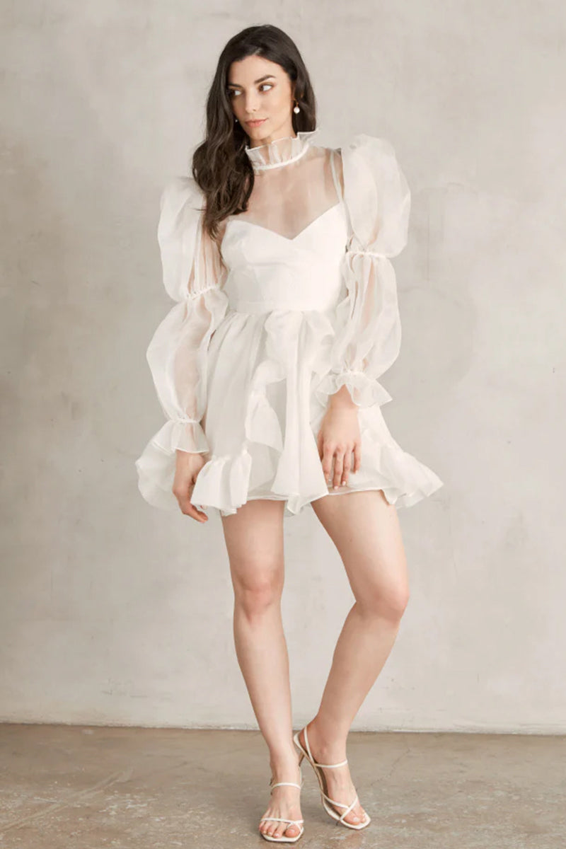 Wondrous Romance Long Puff Sleeves Mini Dress