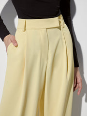 High Waisted Wide Leg Pleat Front Trousers