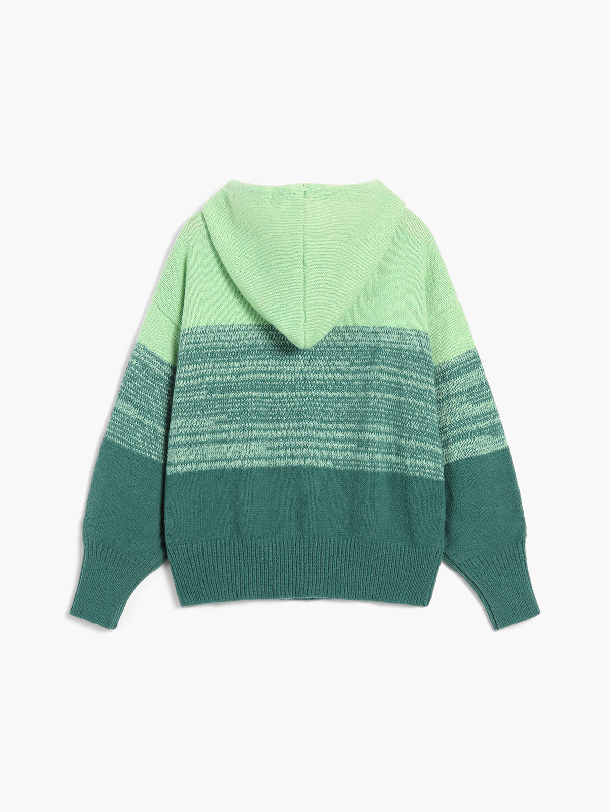 Ombre Greeness Hoodie Sweater