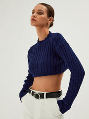 Cable Knit Ripped Hem Crop Knit Top