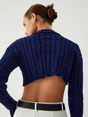 Cable Knit Ripped Hem Crop Knit Top