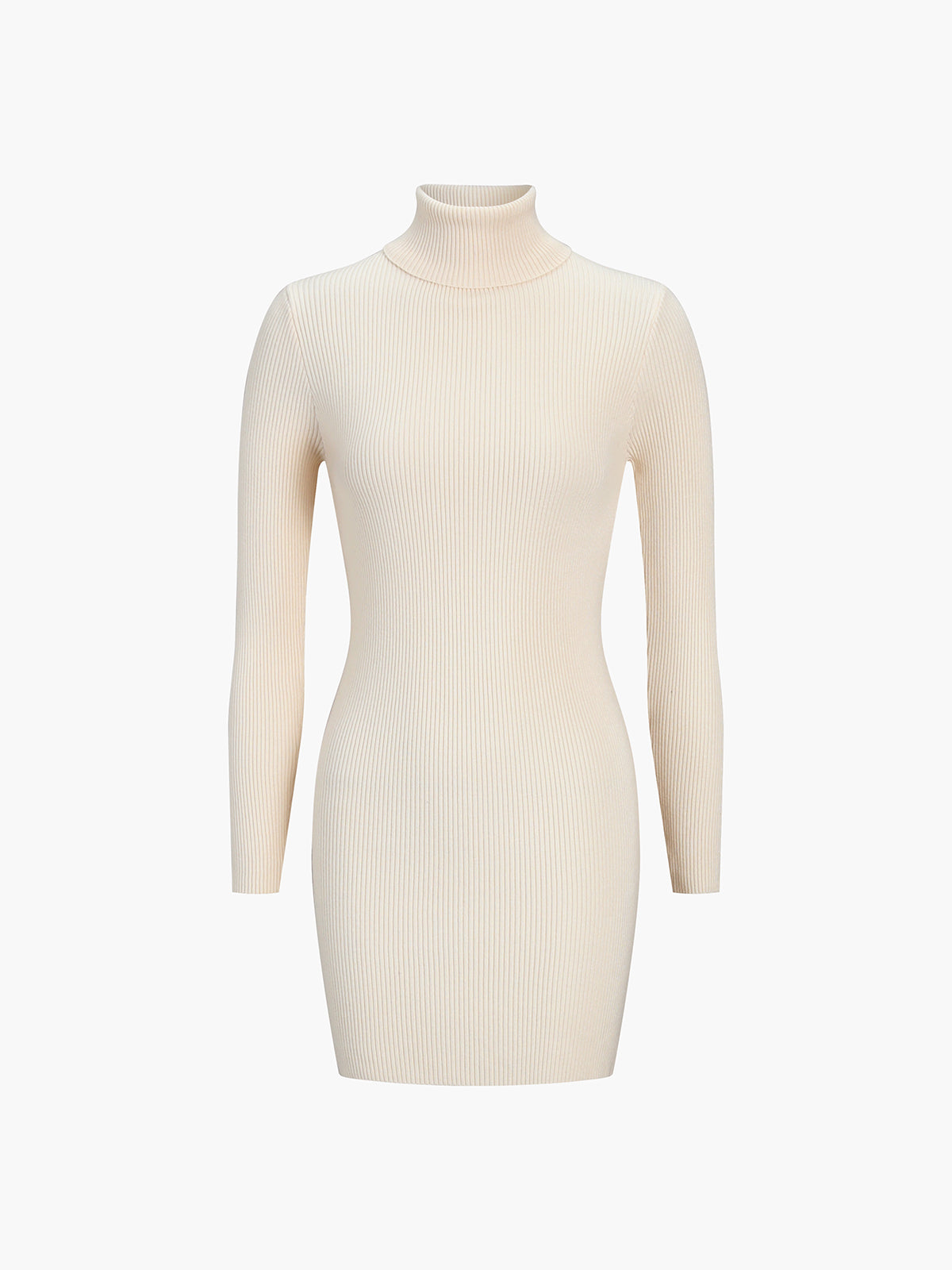 Leisure Turtleneck Long Sleeve Short Sweater Dress